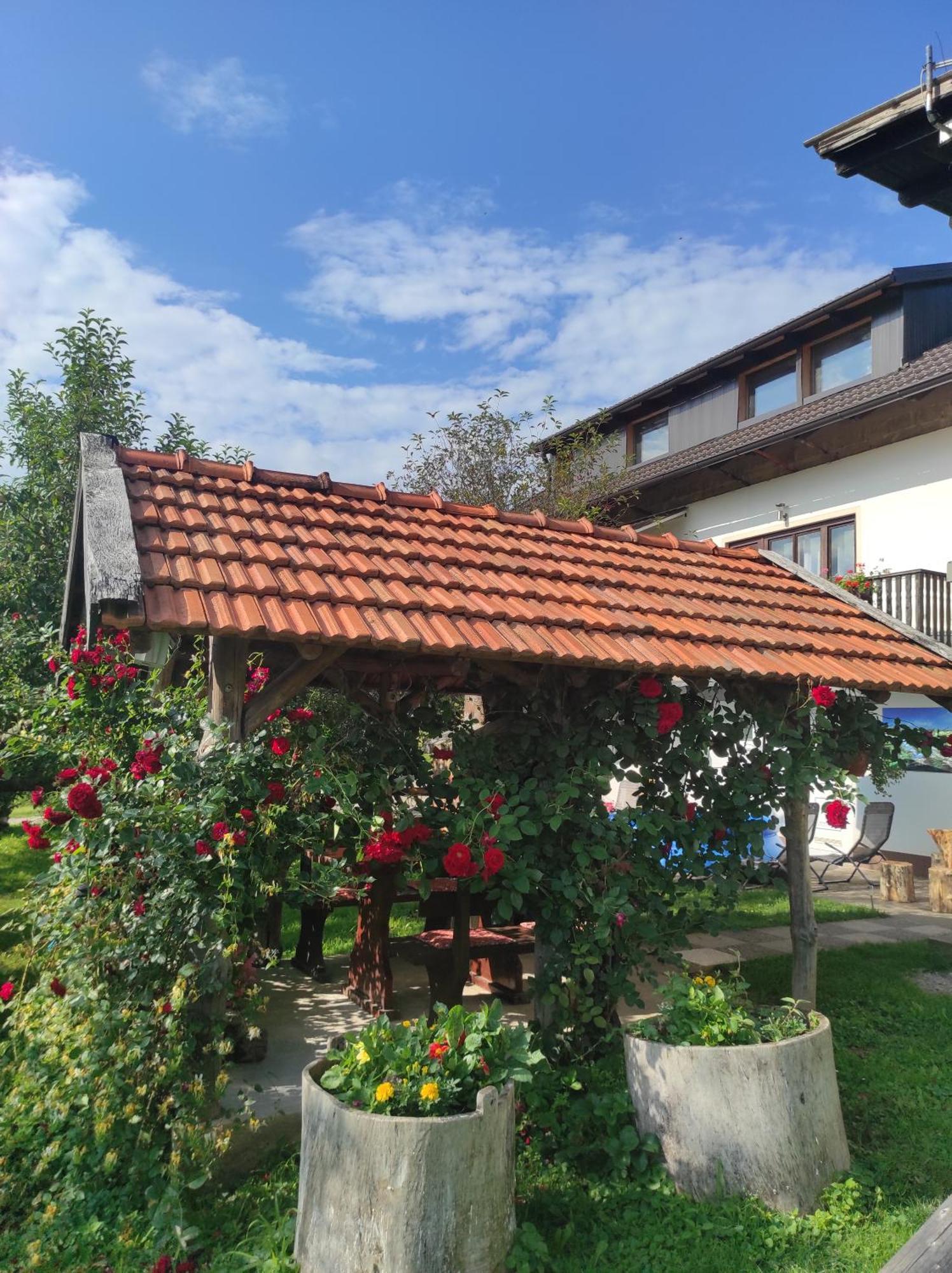 רקוביצה Apartman Leona מראה חיצוני תמונה